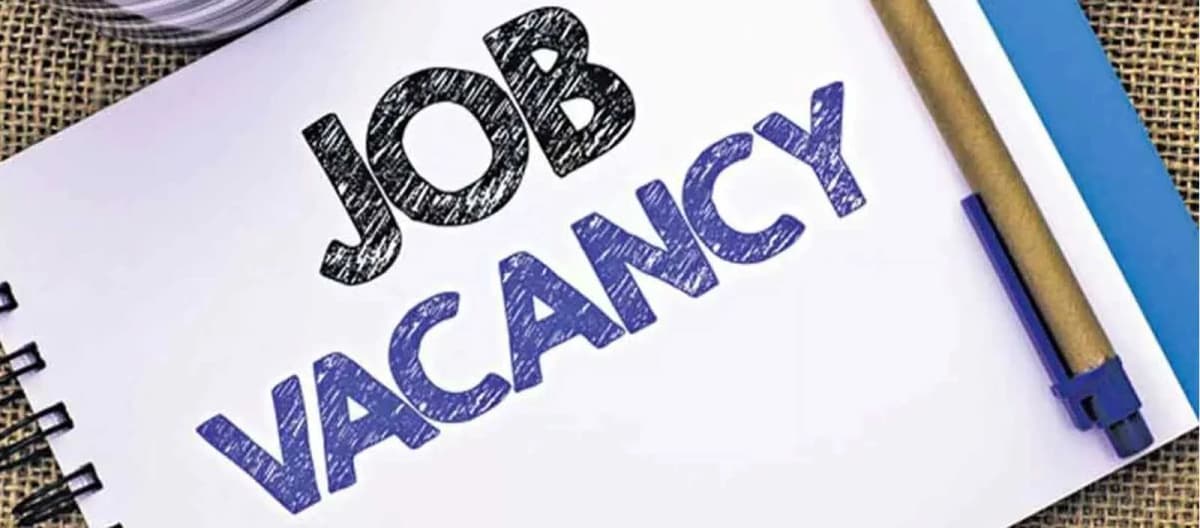 Vacancy 2025