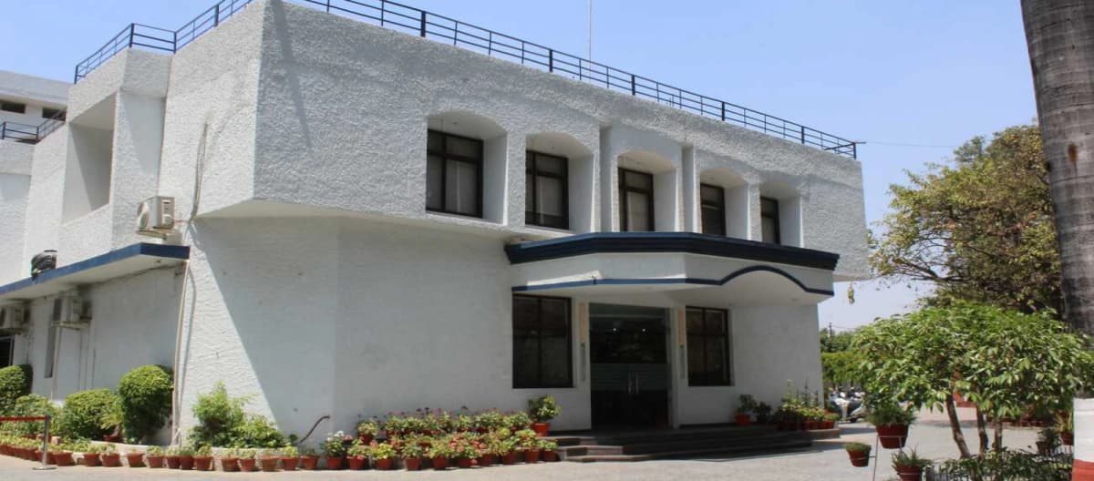 The School